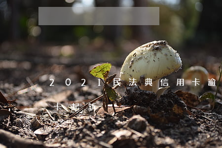 2021民法典信用卡逾期(2021年信用卡起訴)