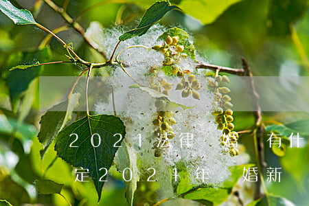 2021法律離婚將有什么新規(guī)定(2021年離婚新規(guī)定法)