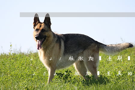 2021版微粒貸逾期會(huì)起訴嗎(2021微粒貸是真的假的)