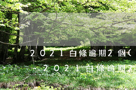 2021白條逾期2個(gè)月了怎么辦-2021白條逾期2個(gè)月了怎么辦呢