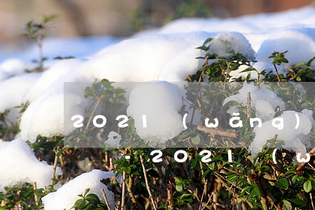 2021網(wǎng)商貸逾期會爆通訊錄嗎-2021網(wǎng)商貸逾期會爆通訊錄嗎怎么辦