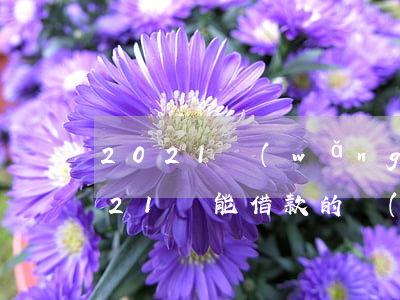 2021網(wǎng)貸可以不還嗎(2021還能借款的網(wǎng)貸有哪些)