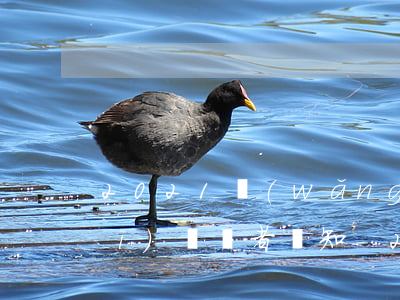 2021網(wǎng)貸逾期新規(guī)負債者須知-2021網(wǎng)貸逾期新規(guī)負債者須知怎么寫
