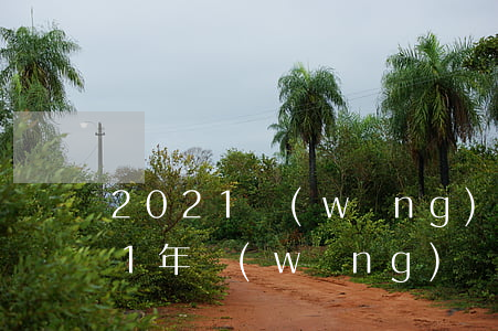 2021網(wǎng)貸逾期賬單(2021年網(wǎng)貸逾期新法規(guī))
