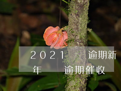 2021網貸逾期新規(guī)(2021年網貸逾期催收)