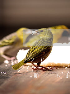 2021網貸逾期還不上怎么堅強-網貸逾期還不起怎么應對