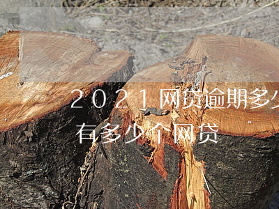2021网贷逾期多少人(预计2021年还有多少个网贷)