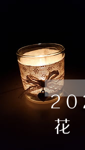 2021花唄如何延期到下月還-2021花唄如何延期到下月還款