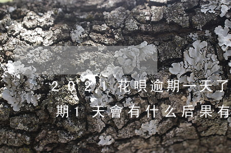2021花唄逾期一天了會怎么樣-花唄逾期1天會有什么后果?,有獎問答