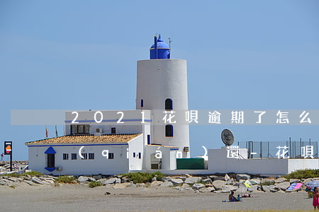 2021花唄逾期了怎么辦沒(méi)錢(qián)還-花唄逾期了沒(méi)錢(qián)還怎么辦,會(huì)被拘留多久
