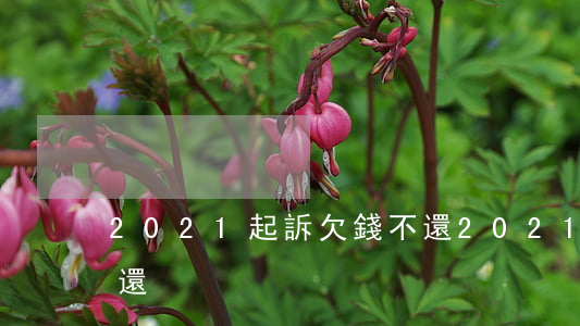 2021起訴欠錢不還(2021起訴欠錢不還)