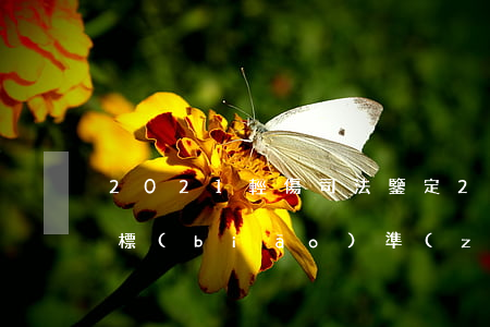 2021輕傷司法鑒定(2020輕傷的鑒定標(biāo)準(zhǔn)是什么)