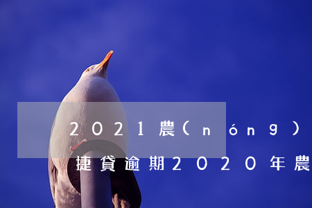 2021農(nóng)行網(wǎng)捷貸逾期(2020年農(nóng)行網(wǎng)捷貸)