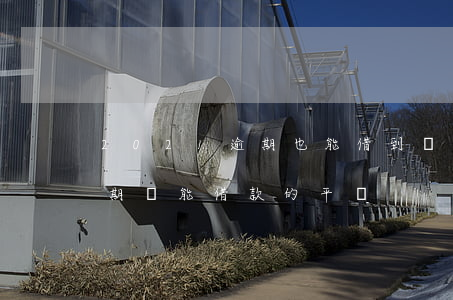 2021逾期也能借到錢的平臺(2021逾期還能借款的平臺)