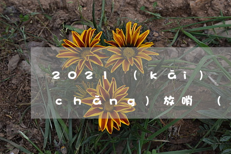 2021開(kāi)設(shè)賭場(chǎng)放哨會(huì)怎么樣(在賭場(chǎng)放哨構(gòu)成犯罪嗎)