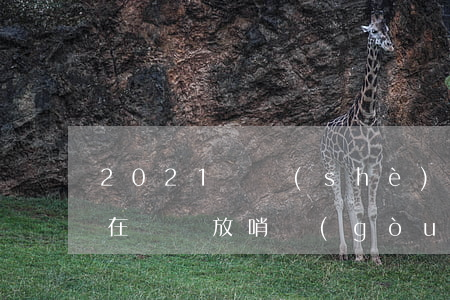 2021開設(shè)賭場放哨會怎么樣(在賭場放哨構(gòu)成犯罪嗎)