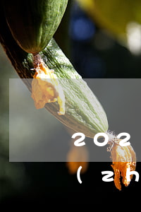 2021離婚訴訟費收費標(biāo)準(zhǔn)(2021年離婚訴訟程序)