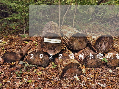 2022信用卡逾期被起訴