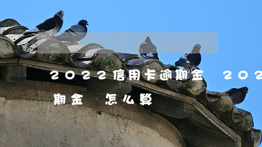 2022信用卡逾期金額(2022信用卡逾期金額怎么算)