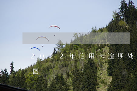 2022年信用卡逾期处理流程详解及步骤图