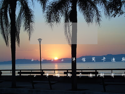 2022年信用卡逾期有什么政策-2022年信用卡逾期有什么政策嗎