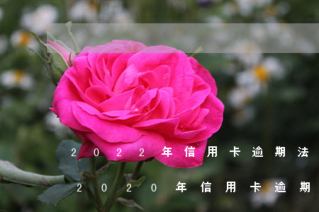 2022年信用卡逾期法律法規(guī)(2020年信用卡逾期新規(guī)定)