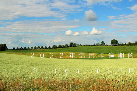 2022年信用卡逾期的最新政策(2020年關(guān)于信用卡逾期最新標(biāo)準(zhǔn))