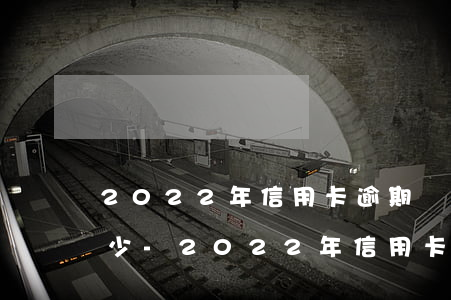2022年信用卡逾期負(fù)債總共多少-2022年信用卡逾期負(fù)債總共多少錢