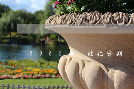 2022年個性化分期(個性化分期有利息嗎)