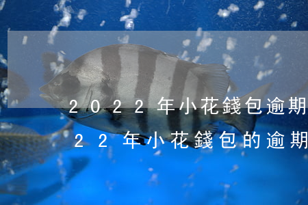 2022年小花錢包逾期利息多少，探究2022年小花錢包的逾期利息是多少