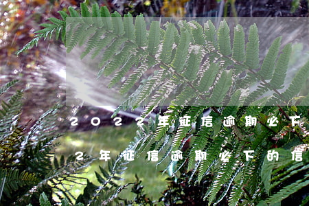 2022年征信逾期必下的信用卡-2022年征信逾期必下的信用卡有哪些