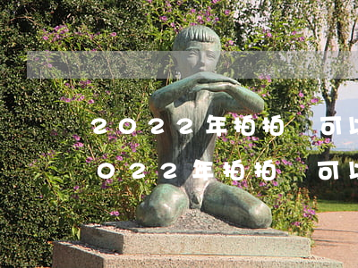 2022年拍拍貸可以二次分期還款嗎-2022年拍拍貸可以二次分期還款嗎