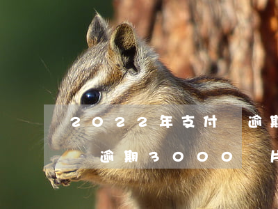 2022年支付寶逾期圖片(2021年支付寶逾期3000圖片)
