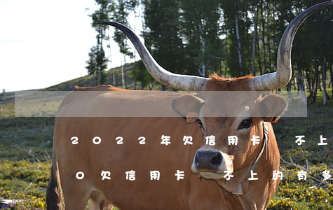2022年欠信用卡還不上的多嗎-2020欠信用卡還不上的有多少