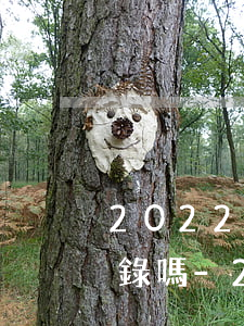2022年欠網(wǎng)貸還會爆通訊錄嗎-2022年欠網(wǎng)貸還會爆通訊錄嗎知乎