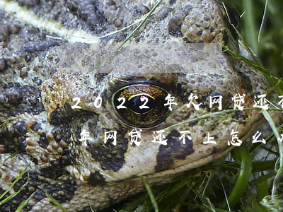 2022年欠网贷还不上怎么办-2021年网贷还不上怎么办