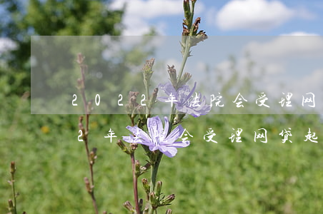 2022年法院会受理网贷起诉吗-2022年法院会受理网贷起诉吗知乎
