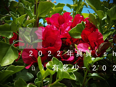 2022年真實(shí)逾期人數(shù)有多少-2021年逾期的人到底有多少