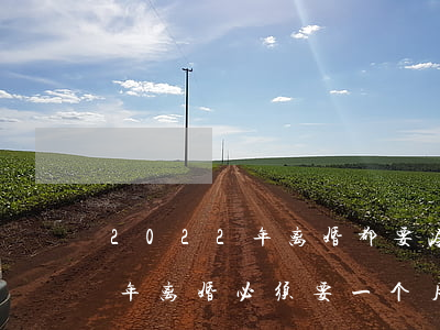 2022年离婚都要冷静3个月吗(2021年离婚必须要一个月冷静期吗)