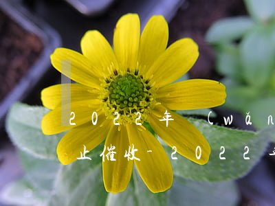 2022年網(wǎng)貸逾期了怎么停止催收-2022年網(wǎng)貸逾期了怎么停止催收了