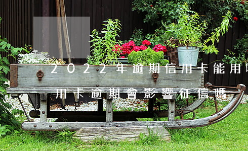 2022年逾期信用卡能用嗎(2021年信用卡逾期會影響征信嗎)