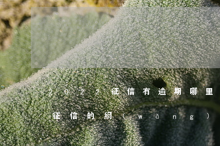 2022征信有逾期哪里可以借錢(借錢不看征信的網(wǎng)貸2021)