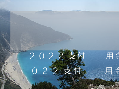 2022支付寶備用金逾期多久上征信-2022支付寶備用金逾期多久上征信啊