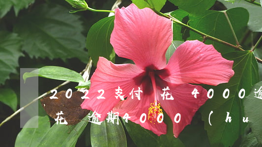 2022支付寶花唄4000逾期-支付寶花唄逾期4000會(huì)怎么樣嗎