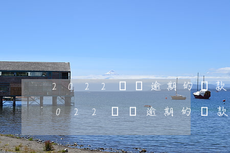2022無視逾期的貸款平臺(tái)(2022無視逾期的貸款平臺(tái)叫什么)