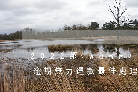 2022網(wǎng)貸催收又復活了-逾期無力還款最佳處理方法