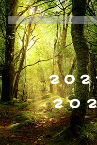 2022網(wǎng)貸逾期上門取證-2022網(wǎng)貸逾期上門取證是真的嗎