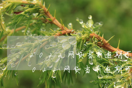 2022网贷当前逾期可以贷款的平台-2022网贷当前逾期可以贷款的平台有哪些