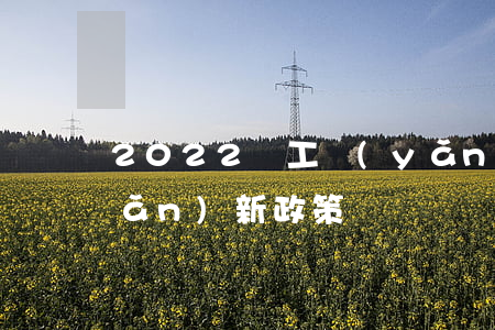 2022職工養(yǎng)老保險(xiǎn)新政策