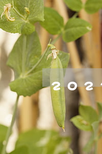 2022逾期還可以申請的平臺-